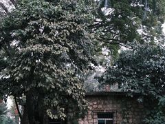 -滇池海埂公园
