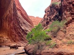 -天山神秘大峡谷