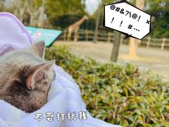 -上海野生动物园