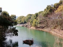-白马涧龙池景区