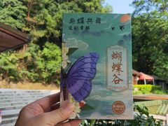 -鼎湖山风景区