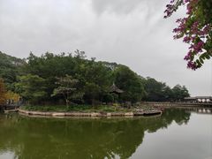 -广州市帽峰山景区