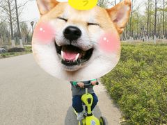 -永定河休闲森林公园