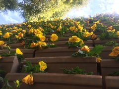 -云南民族大观园