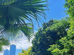 -南宁市凤岭儿童公园