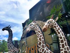 -清迈夜间动物园