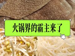 -尚品火锅(正阳路店)