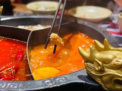 -蜀大侠火锅(森兰花园城店)