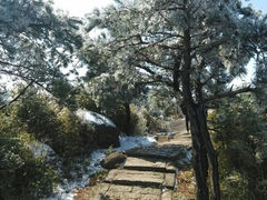 android_upload_pic-玉苍山国家森林公园