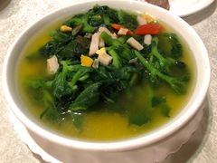 珍珠菜-琼菜坊·无鸡不成宴·海南菜老爸茶糟粕醋(海口骑楼老街店)