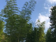 -韶关经律论国际酒店温泉