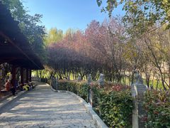 -西安汉城湖景区