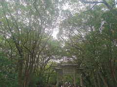 -灵岩山风景区