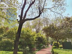 -唐城墙遗址公园