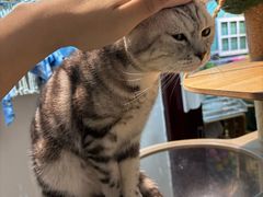 -觅时光手作·香薰·拼豆豆·陶艺DIY