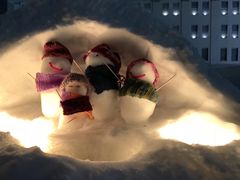 -小樽运河广场(運河プラザ)