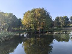 -贡湖湾湿地公园