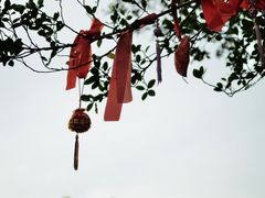 DSC_0352-南沙天后宫景区