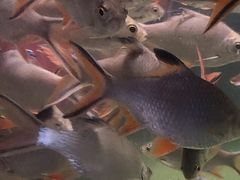 -多彩贵州城极地海洋世界