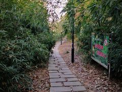 -宝界山林公园