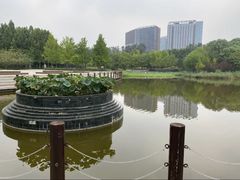 -大望京公园