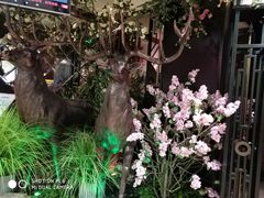 -新白鹿餐厅(悠迈生活广场店)