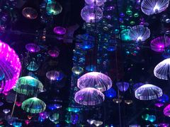 -梵高星空艺术馆(北京旗舰店)