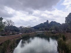 -王借岗森林公园