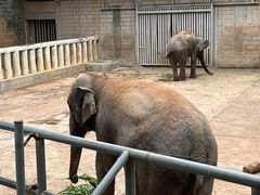 -深圳野生动物园