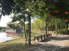 -上海长兴岛郊野公园