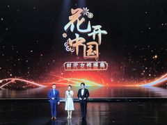 -中央广播电视总台(光华路办公区)