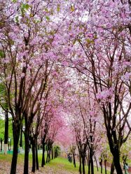 -梓爱月子中心(花都店)