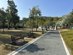 -飞凤山奥体公园