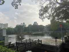 -荔湾湖公园