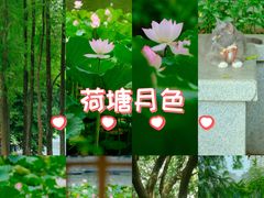 -荔湾湖公园