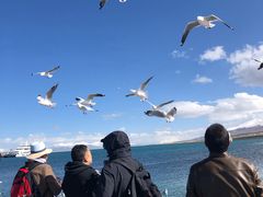 -青海湖国家重点风景名胜区