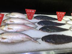 -宝燕壹号(徐汇店)