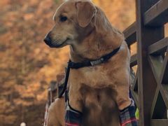 -桤木河湿地公园