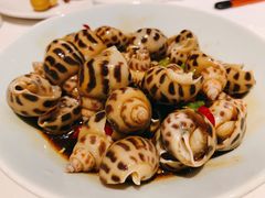 捞汁花螺-南麓·浙里(外滩店)