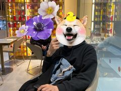 -哈根达斯(虹口店)