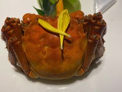 -甄御•海鲜新青岛菜(麦岛店)