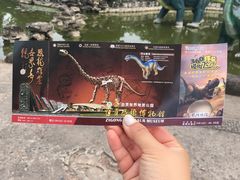 -自贡恐龙博物馆