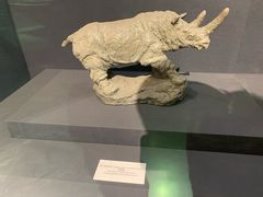 -北京周口店北京人遗址博物馆