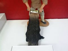 -上海市第一医药商店(南京东路店)