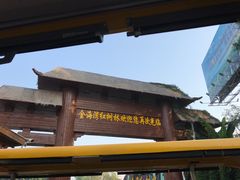 -北海金海湾红树林生态旅游区