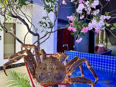 -驻海渔市(置信店)