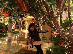 -拉斯维加斯永利酒店