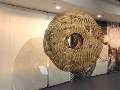 -中国湿地博物馆