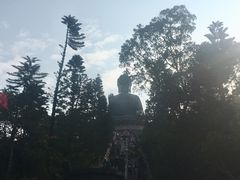 -宝莲禅寺
