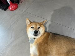 -NOTBAD 须时·咖啡馆